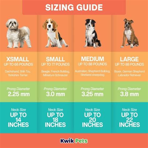 prong collar sizing guide.